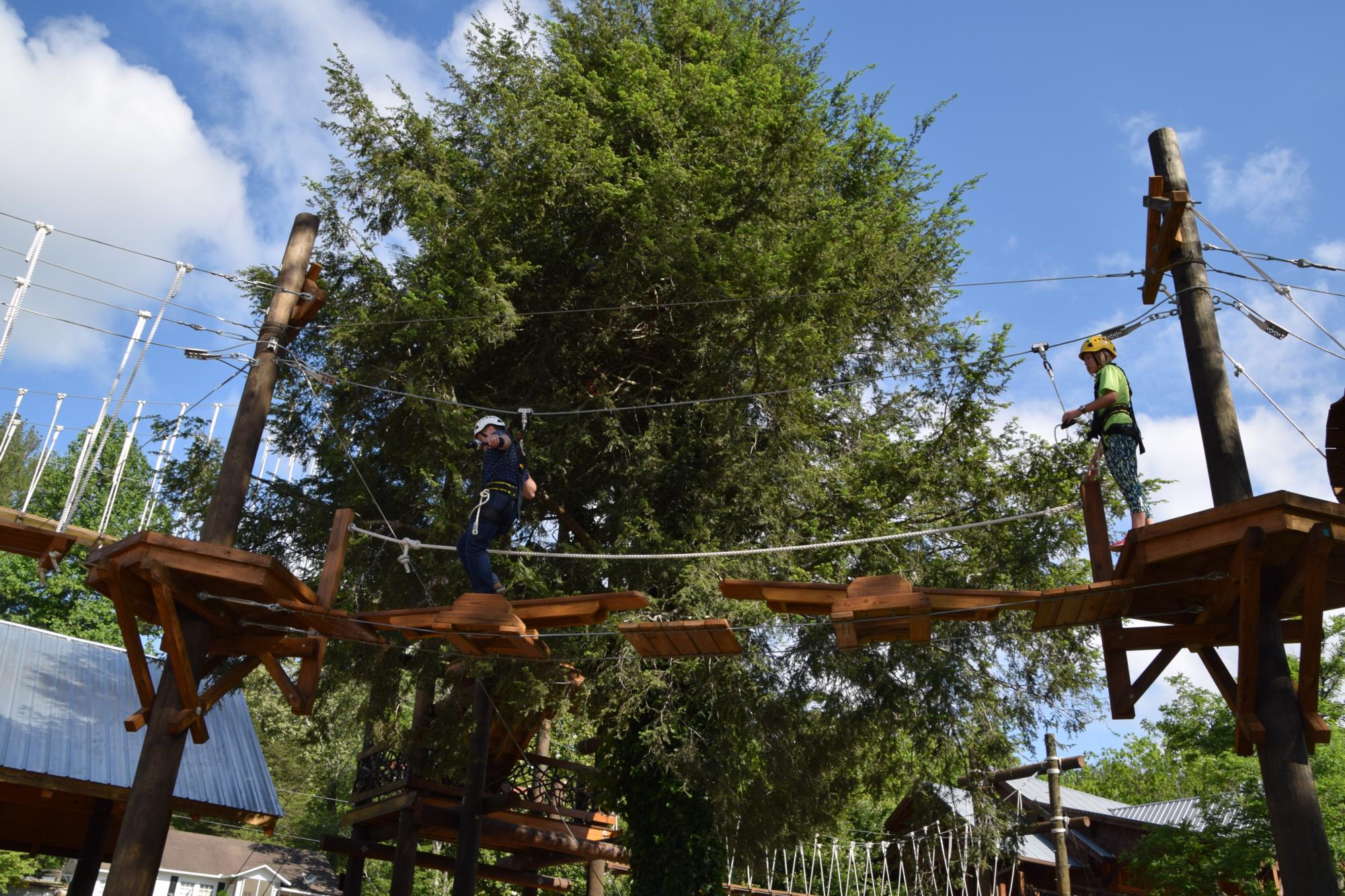 Ziplines - Aerial Activities - Cool River Adventures
