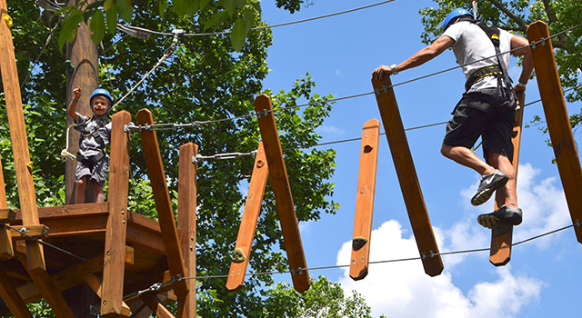 Man on adventure course