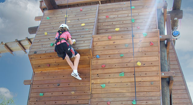 Children on climbing wall